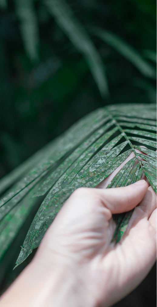 Imagen sobre nosotros 1