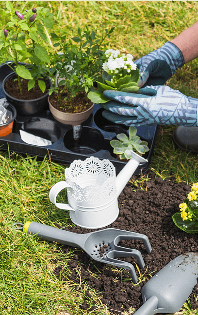 Jardinería 1